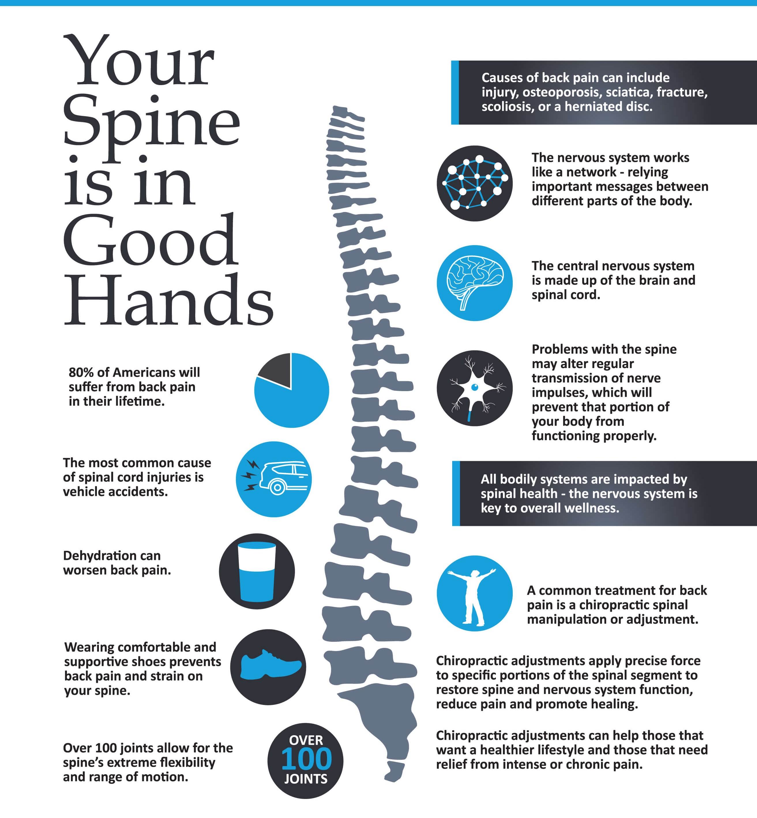 Your Spine is in Good Hands - Spine Health Education